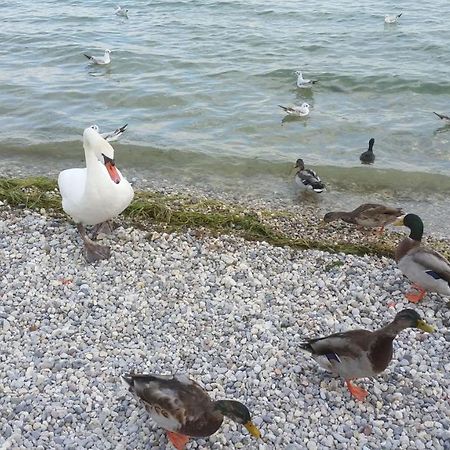 Antico Convento Apartman Moniga del Garda Kültér fotó